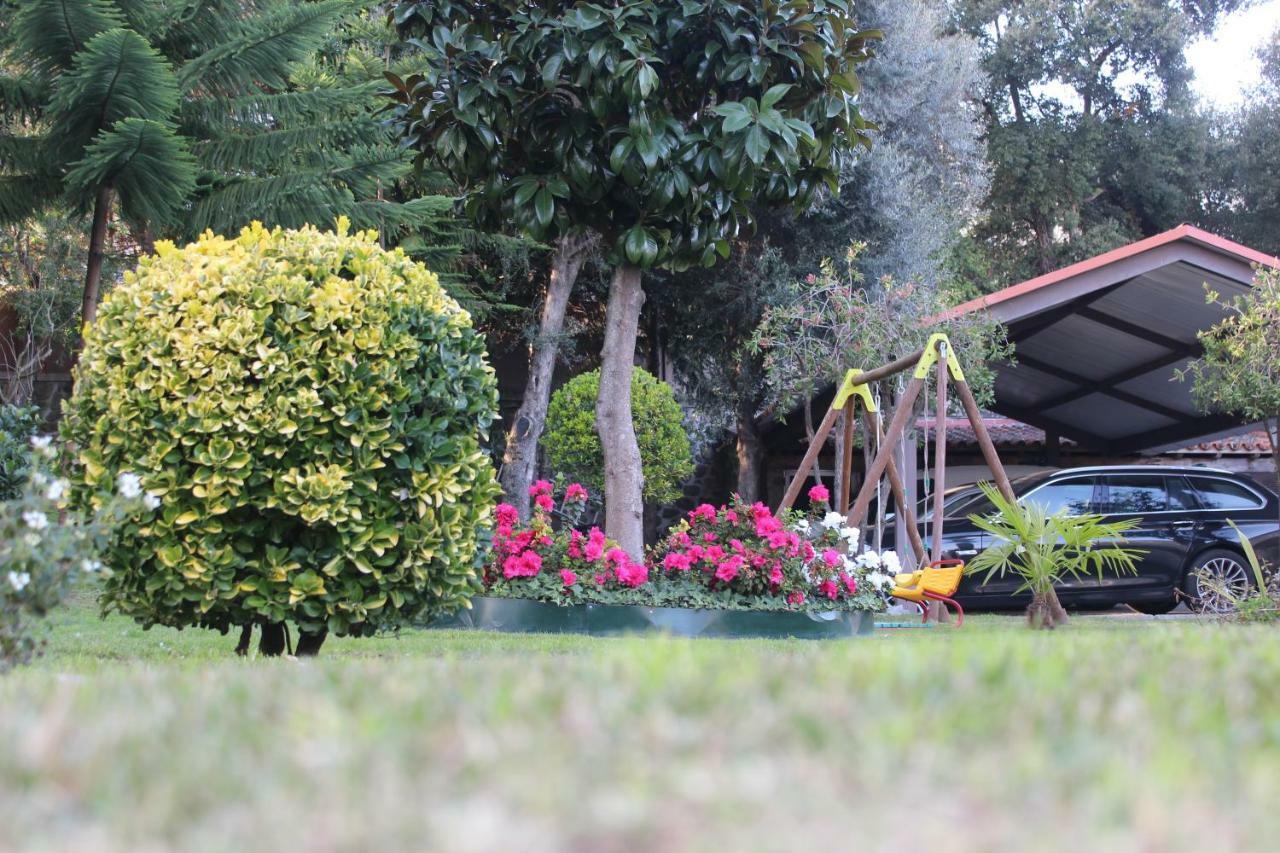 Turismo Homes Solar Do Areal บรากา ภายนอก รูปภาพ